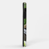 Coques Case-Mate iPhone Chiens sauvages africains (Dos/Droite)