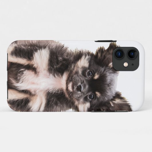Coques Case-Mate iPhone Chihuahua Chien chiot (Dos (Horizontal))