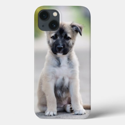 Coques Case-Mate iPhone Chiot allemand sur le sentier de randonnée (Verso)