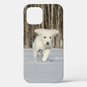 Coques Case-Mate iPhone Chiot blanc Golden Retriever en neige (Verso)