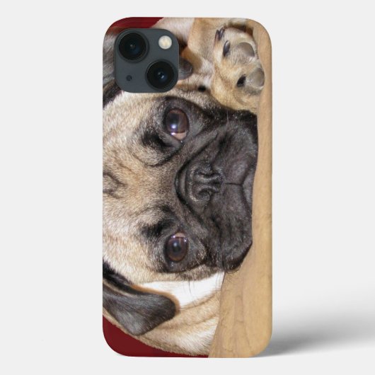 Coques Case-Mate iPhone Chiot Carlin mignon (Verso)