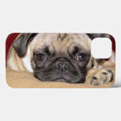 Coques Case-Mate iPhone Chiot Carlin mignon (Verso (horizontal))