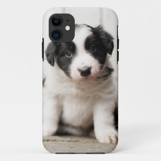Coques Case-Mate iPhone Chiot de border collie (Dos)
