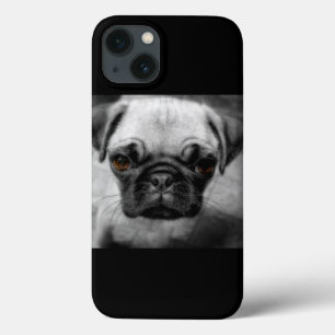 Etui iPhone 13 Chiot de carlin