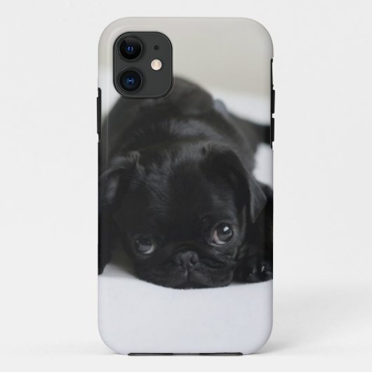 Coques Case-Mate iPhone Chiot de Carlin noir (Dos)