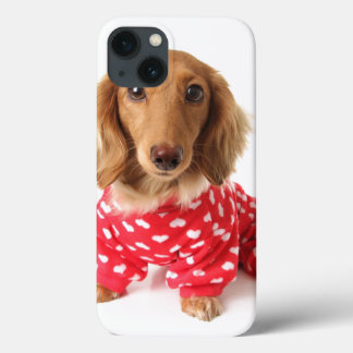 Etui iPhone 13 Chiot de Dachshund portant l'tenue de Saint Valent