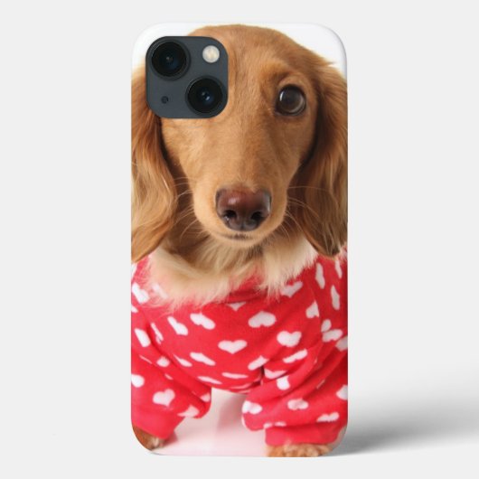 Coques Case-Mate iPhone Chiot de Dachshund portant l'tenue de Saint Valent (Verso)