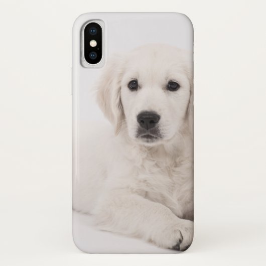 Coques Case-Mate iPhone Chiot de golden retriever (Dos)