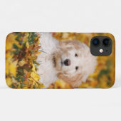 Coques Case-Mate iPhone Chiot De Goldendoodle En Feuilles D'Automne (Dos (Horizontal))