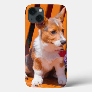 Case-Mate iPhone Case chiot de Pembroke Welsh Corgi assis sur un banc de