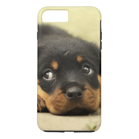Coques Case-Mate iPhone Chiot de rottweiler curieux (Dos)