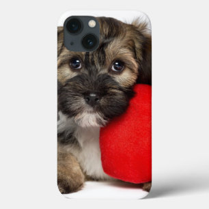 Etui iPhone 13 Chiot de Valentine Havanese d'amant