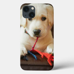 iPhone 13 Case Chiot des images de Getty sur un sofa