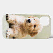 Coques Case-Mate iPhone Chiot d'or sur un canapé (Verso (horizontal))