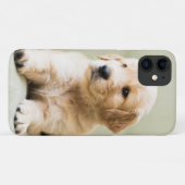 Coques Case-Mate iPhone Chiot d'or sur un canapé (Dos (Horizontal))
