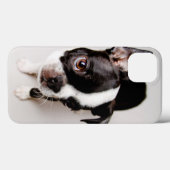 Coques Case-Mate iPhone Chiot Edison Boston Terrier. (Verso (horizontal))
