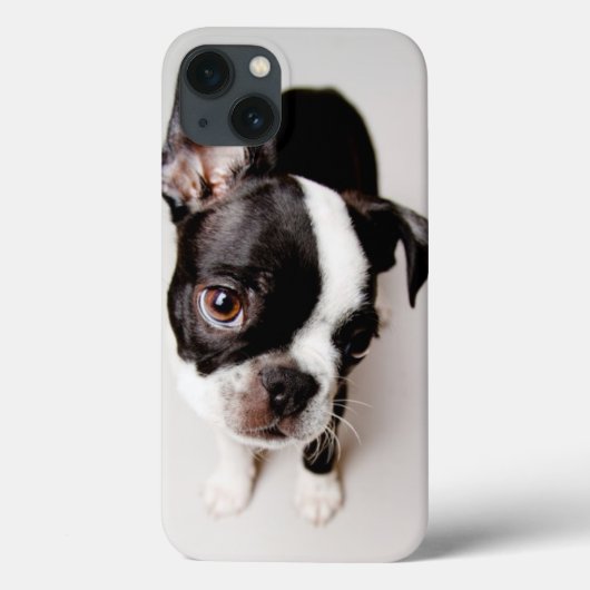 Coques Case-Mate iPhone Chiot Edison Boston Terrier. (Verso)