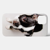 Coques Case-Mate iPhone Chiot Edison Boston Terrier. (Verso (horizontal))