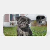 Coques Case-Mate iPhone Chiot en Carlin noir (Dos (Horizontal))