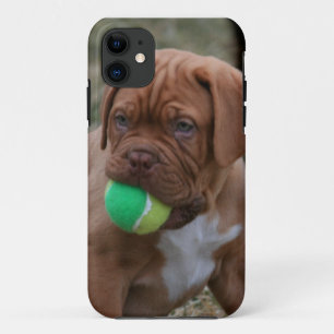 Coques Pour iPhone Chiot français de mastiff