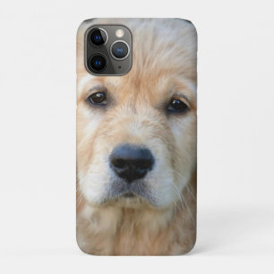 Case-Mate iPhone Case Chiot Golden Retriever