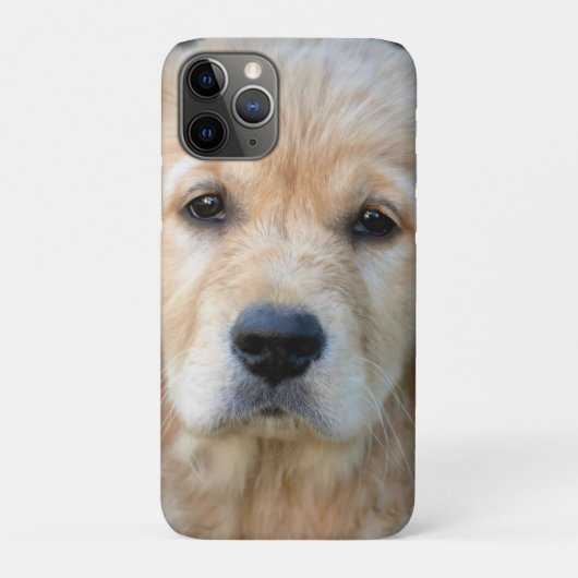 Coques Case-Mate iPhone Chiot Golden Retriever (Dos)
