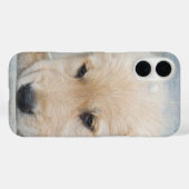 Coques Case-Mate iPhone Chiot Golden Retriever (Verso (horizontal))