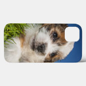 Coques Case-Mate iPhone Chiot mignon (Shitzu) (Verso (horizontal))