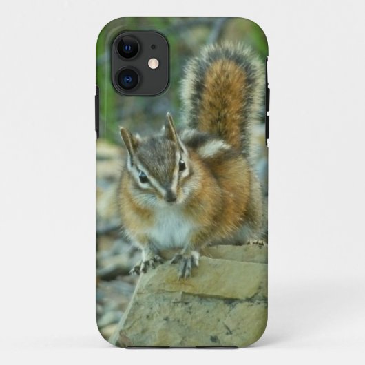 Coques Case-Mate iPhone Chipmunk dans le parc national des Glaciers (Dos)