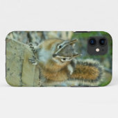 Coques Case-Mate iPhone Chipmunk dans le parc national des Glaciers (Dos (Horizontal))