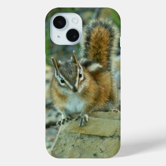 Coques Case-Mate iPhone Chipmunk dans le parc national des Glaciers (Verso)