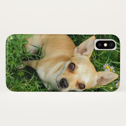 Coques Case-Mate iPhone Chiwawa mignon dans le pré d'herbe (Dos (Horizontal))
