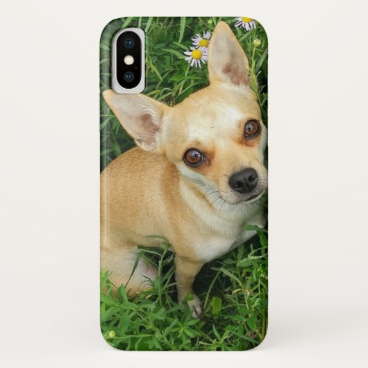 Coques Case-Mate iPhone Chiwawa mignon dans le pré d'herbe (Dos)