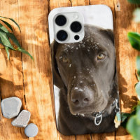 Chocolat du Labrador à la neige épicée Coque-Ma