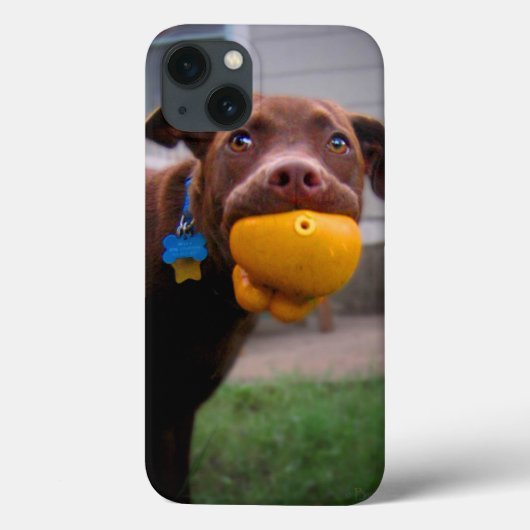 Coques Case-Mate iPhone Chocolat Lab Chiot avec balle (Verso)