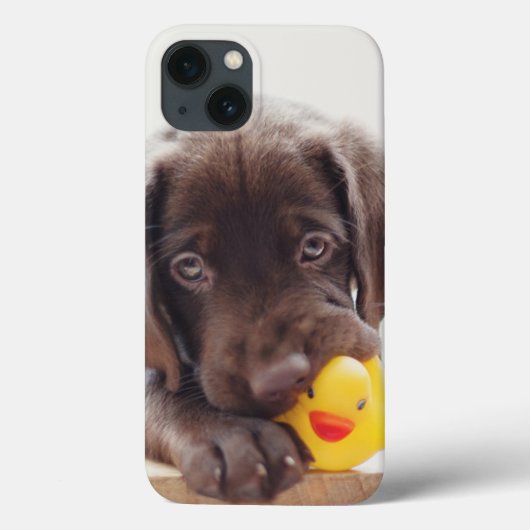 Coques Case-Mate iPhone Chocolat Labrador Chiot Avec Canard De Jouet (Verso)