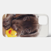 Coques Case-Mate iPhone Chocolat Labrador Chiot Avec Canard De Jouet (Verso (horizontal))