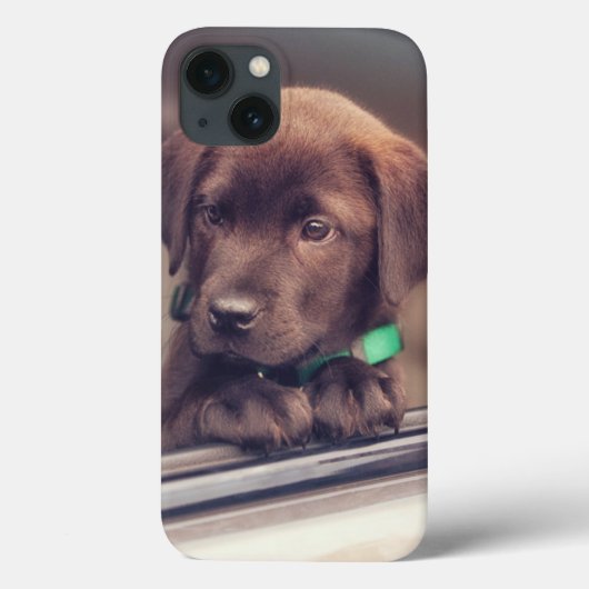Coques Case-Mate iPhone Chocolat Labrador Chiot En Voiture (Verso)