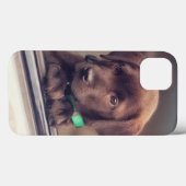 Coques Case-Mate iPhone Chocolat Labrador Chiot En Voiture (Verso (horizontal))