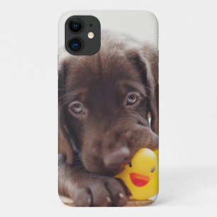 Case-Mate iPhone Case Chocolat Labrador Puppy With Toy Duck