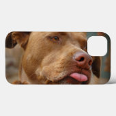 Coques Case-Mate iPhone Chocolat mignon Lab Pit Mix Chien (Verso (horizontal))