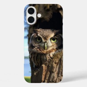 Coques iPhone 16 Plus Chouette