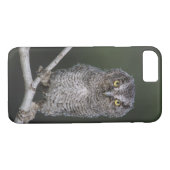 Coques Case-Mate iPhone Chouette à cris de l'Est, Megascops asio, Otus 2 (Dos (Horizontal))