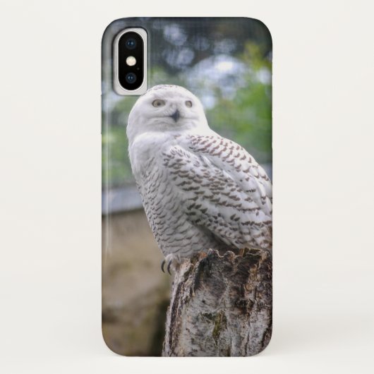 Coques Case-Mate iPhone Chouette à neige (Dos)