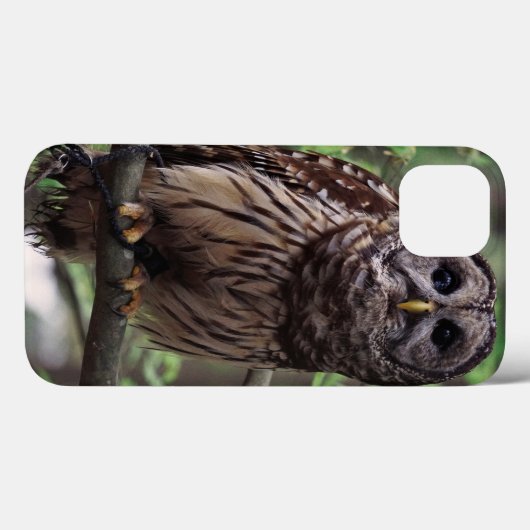 Coques Case-Mate iPhone Chouette barrée (Verso (horizontal))