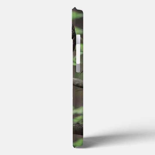 Coques Case-Mate iPhone Chouette barrée (Verso / Gauche)