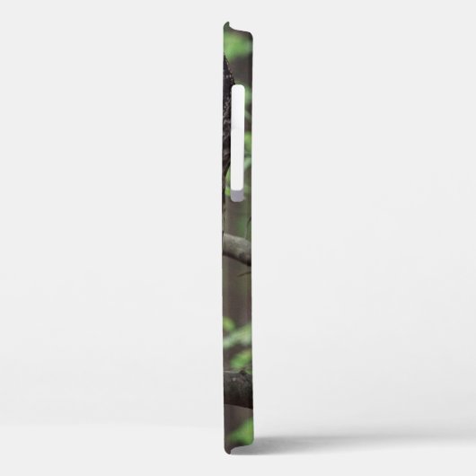 Coques Case-Mate iPhone Chouette barrée (Verso / Gauche)