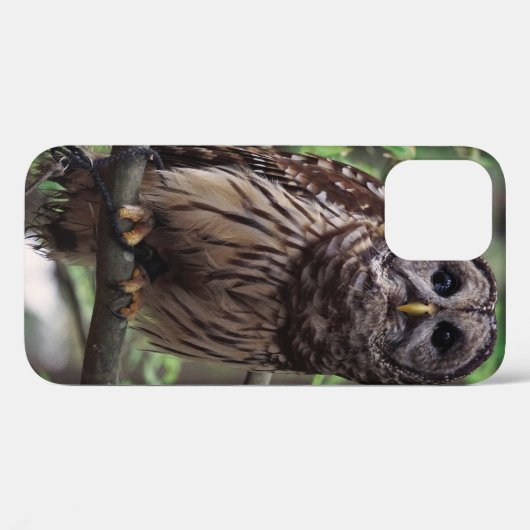 Coques Case-Mate iPhone Chouette barrée (Verso (horizontal))