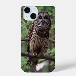 Coque Pour iPhone 15 Chouette barrée