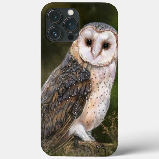 Coques Case-Mate iPhone Chouette de l'Ouest - Peinture  (Verso)